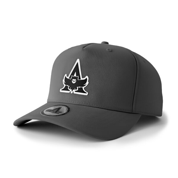 ANTIWEAR OWL SNAPBACK Anthra 3D (NEU)